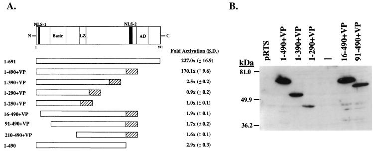 FIG. 4.