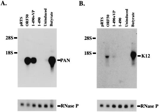 FIG. 5.