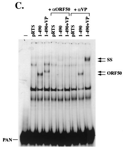 FIG. 6.