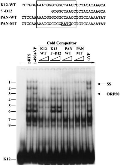 FIG. 8.