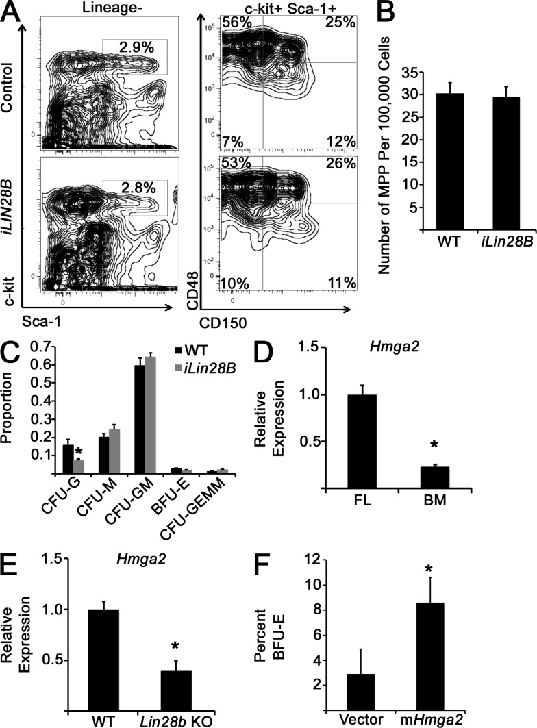 Figure 10.