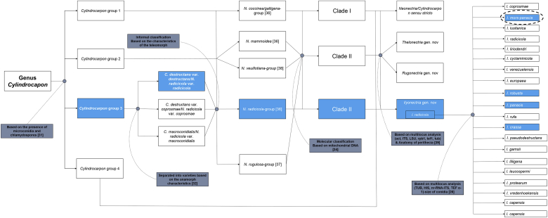 Fig. 2