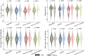 Four violin plots displaying data on brain metrics such as grey matter volume, white matter fractional anisotropy (FA), grey matter cerebral blood flow (CBF), and white matter CBF. The plots compare different brain regions: multi-spots, peri-BG, anterior SC patches, and posterior SC patches. P-values are noted above each plot; significant values are marked with an asterisk. Various shades of color differentiate each region. A legend indicating “Dark,” “Light,” and “Without” is positioned at the bottom.