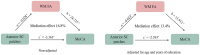 Diagram illustrating two mediation models. Both models show the relationship between “Anterior SC patches,” “WM FA,” and “MoCA.” The first model (non-adjusted) shows a mediation effect of 16.8% with paths a = -0.028* and b = 24.727*. Path c' = -3.363*. The second model (adjusted for age and education) shows a mediation effect of 13.4% with paths a = -0.023* and b = 15.912*. Path c' = -2.393*. Arrows indicate the direction of relationships.