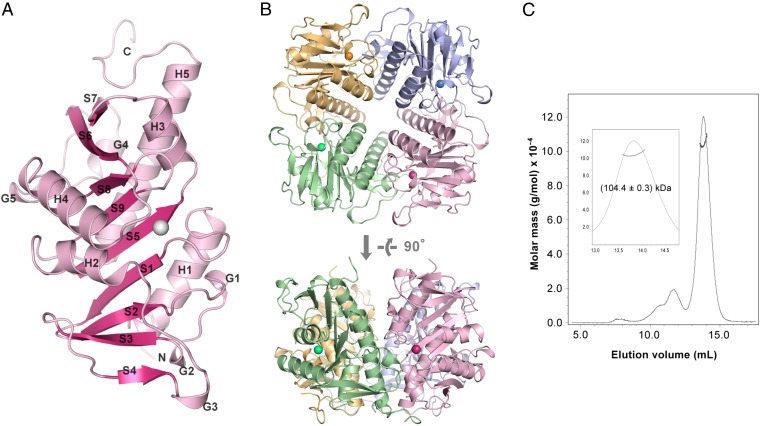 Fig. 2.