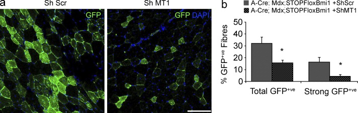 Figure 9.