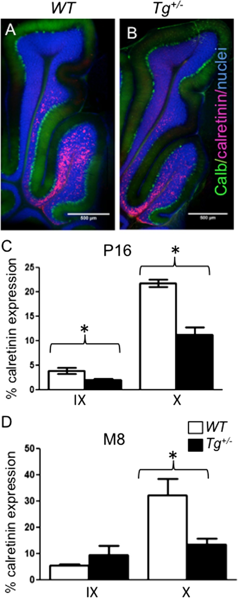 Fig. 9