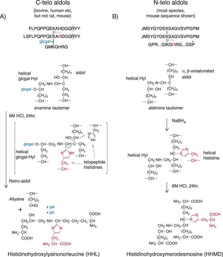 Figure 10.