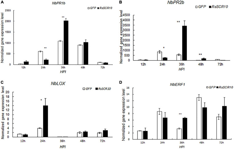 FIGURE 3