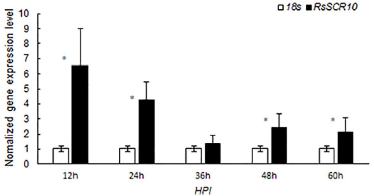 FIGURE 5