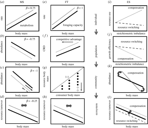 Figure 4.