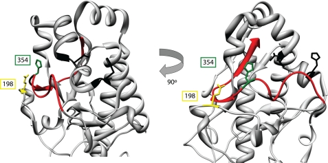 FIGURE 9.