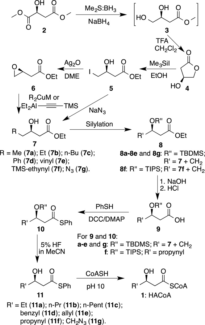 Scheme 2