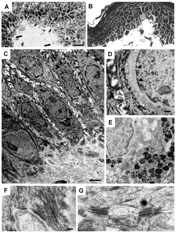 Figure  3