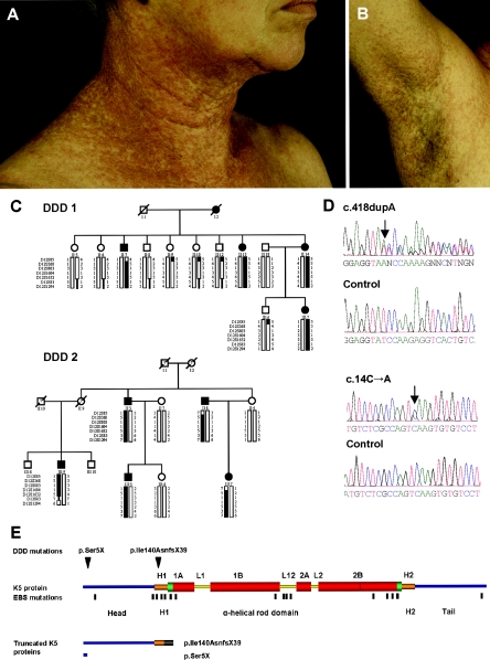 Figure  1