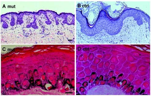 Figure  2