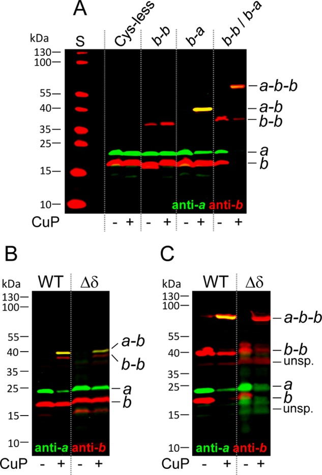 FIGURE 5.