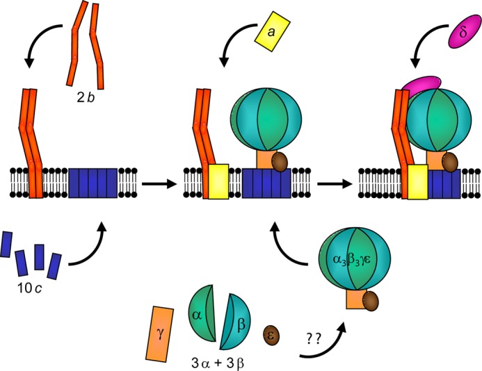 FIGURE 9.