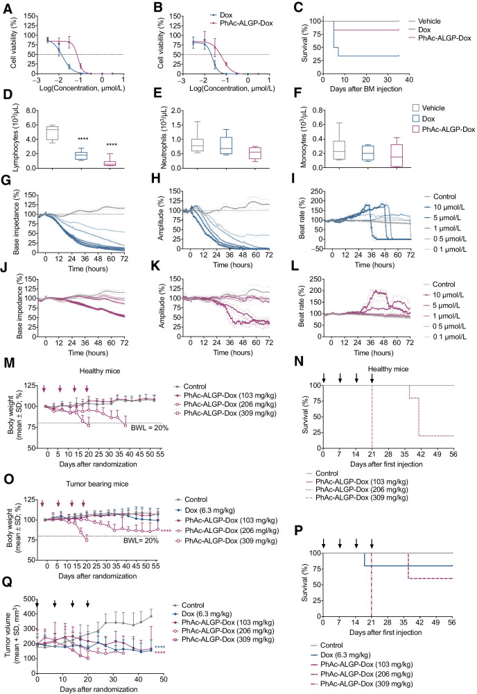 Figure 4. PhAc-ALGP-Dox shows reduced hematotoxicity and cardiotoxicity as well as improved MTD with tumor sequestration in tumor-bearing mice. A and B, Dose–response curves for the effect of continuous exposure (14 days) to PhAc-ALGP-Dox on human erythroid (A) and myeloid (B) progenitor proliferation using MethoCult GF H84434. C, Kaplan–Meier plot describing the survival rate of recipient mice after BMT of vehicle, Dox (58 mg/kg/week) or PhAc-ALGP-Dox (1,026 mg/kg/week) treated donors. Mice were monitored for 41 days following BMT (n = 6). Gehan–Breslow–Wilcoxon test, P = 0.03. D–F, Blood count of donor mice treated with Dox (58 mg/kg/week) or PhAc-ALGP-Dox (1,026 mg/kg/week) by means of osmotic minipumps; whole blood was analyzed at the time of bone marrow collection. Data represent mean ± SD (n = 8). ****, P < 0.0001 versus control as defined by two-way ANOVA. G–L, Impedance-based cardiotoxicity of Dox (blue curves) and PhAc-ALGP-Dox (purple curves) in hiPSC-CMs on base impedance, contraction amplitude, and beat rate. Data of quadruplicate values are represented as mean ± SD. M–Q, PhAc-ALGP-Dox dose–response in healthy versus MDA-MB-468 tumor-bearing mice. Body weight (M, O), survival rate (N, P), and tumor volume (Q) were periodically monitored during and after the treatment (as indicated by arrows). Data represent mean ± SD (n = 5). ****, P < 0.0001 versus control (saline) as defined by two-way ANOVA; Gehan–Breslow–Wilcoxon test, P < 0.0001 (N) and P = 0.0013 (P). BMT, bone marrow transplantation; hiPSC-CM, human induced pluripotent stem cell derived cardiomyocyte.