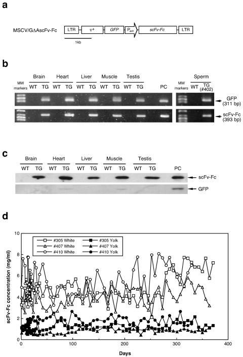 FIG. 2.