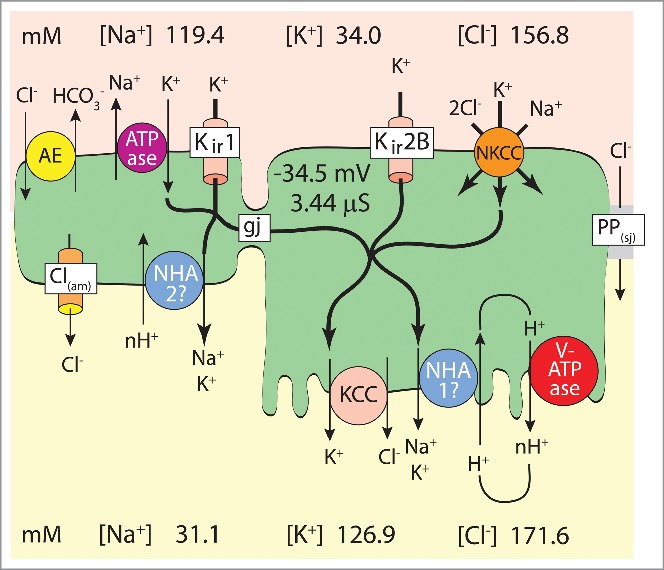 Figure 5.