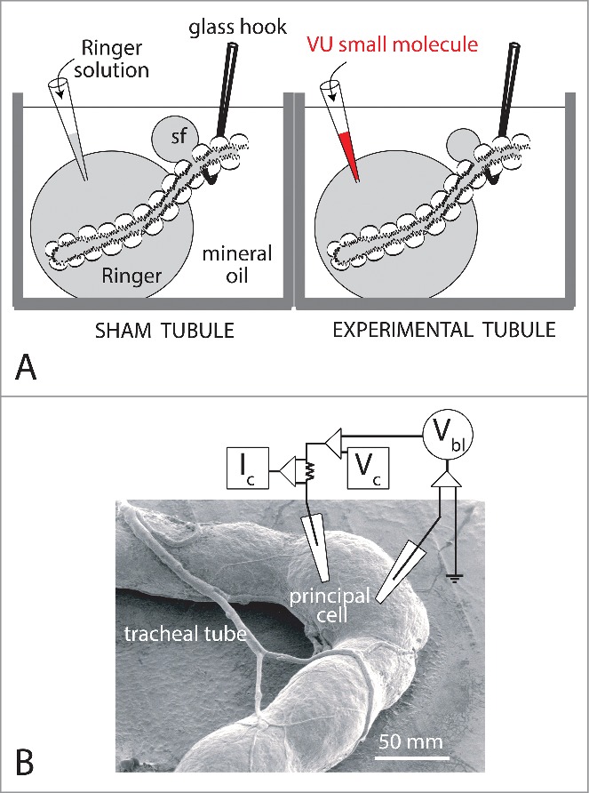 Figure 9.