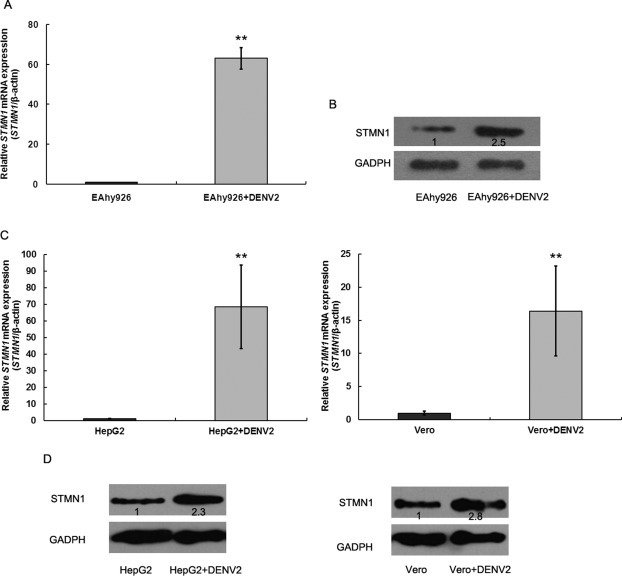 Fig. 4