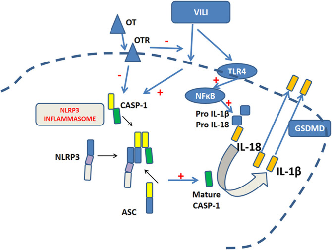 FIGURE 1