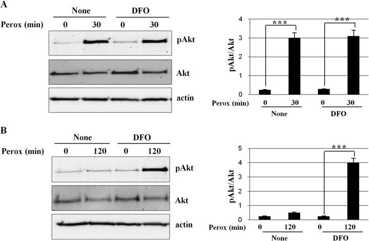 FIG. 9.