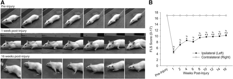 FIG. 10