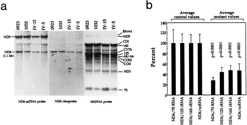 FIG. 6