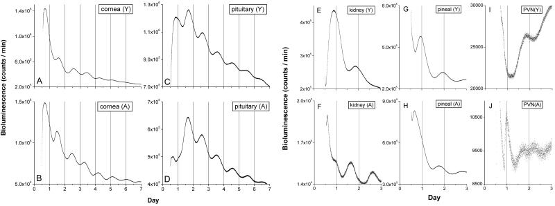 Fig 2.