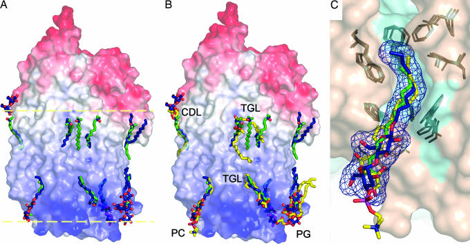 Fig. 3.