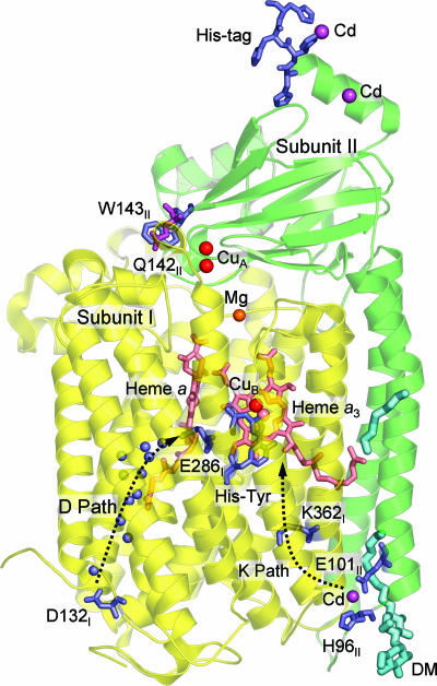 Fig. 1.