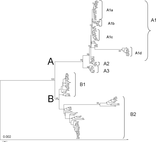 FIG. 2.