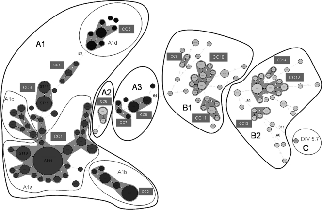 FIG. 3.