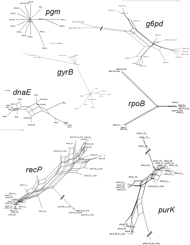 FIG. 4.