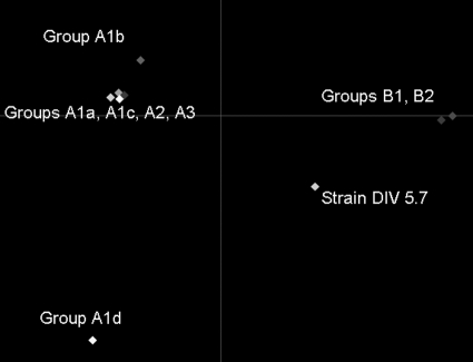 FIG. 6.