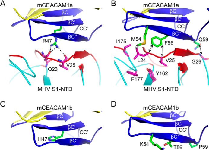 FIGURE 4.