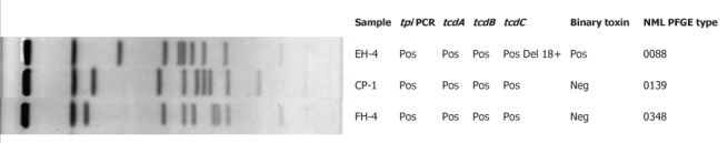 Figure 1)