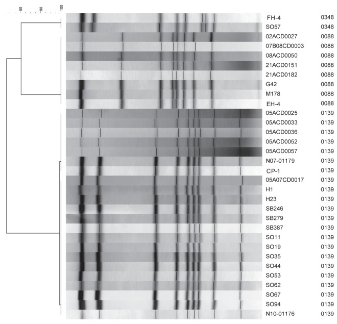 Figure 2)