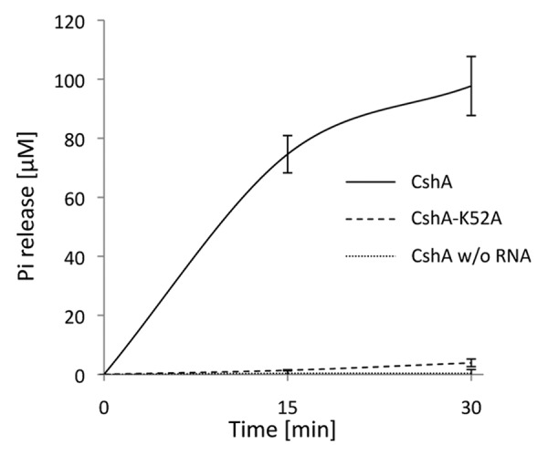 graphic file with name rna-10-157-g1.jpg