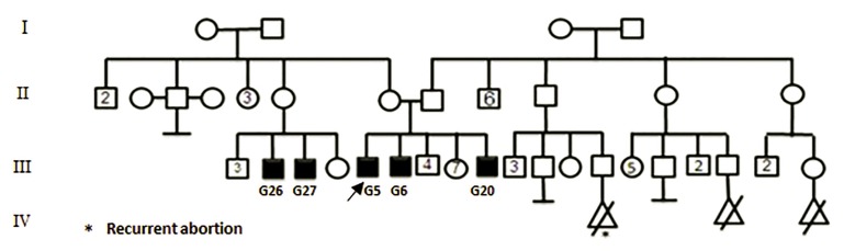 Fig.5