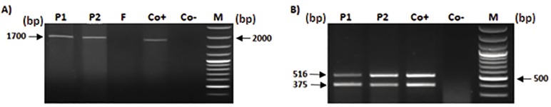 Fig.4