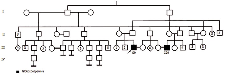 Fig.6