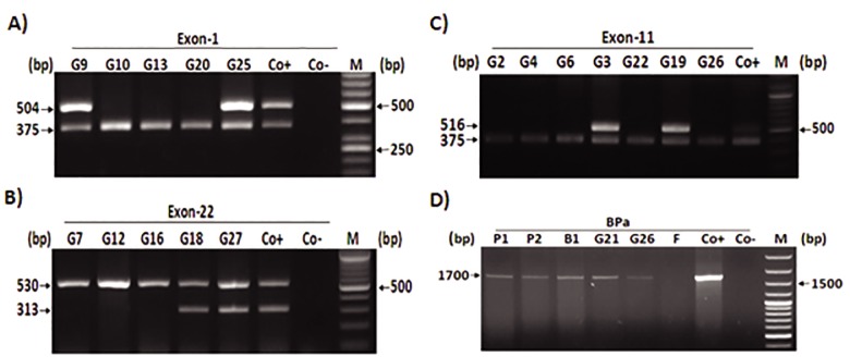 Fig.3