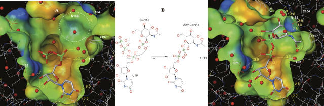 Figure 4.