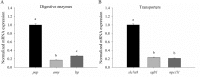 Fig 5