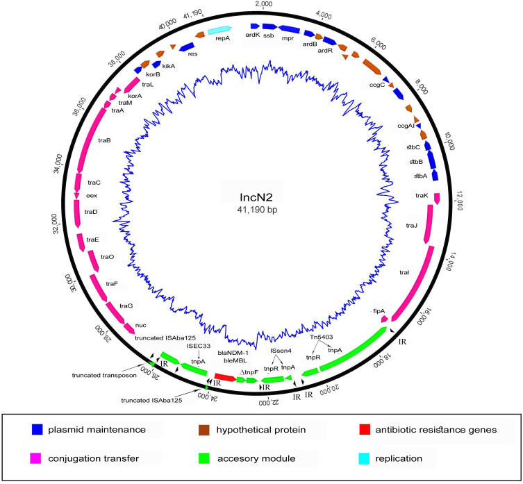 Figure 6