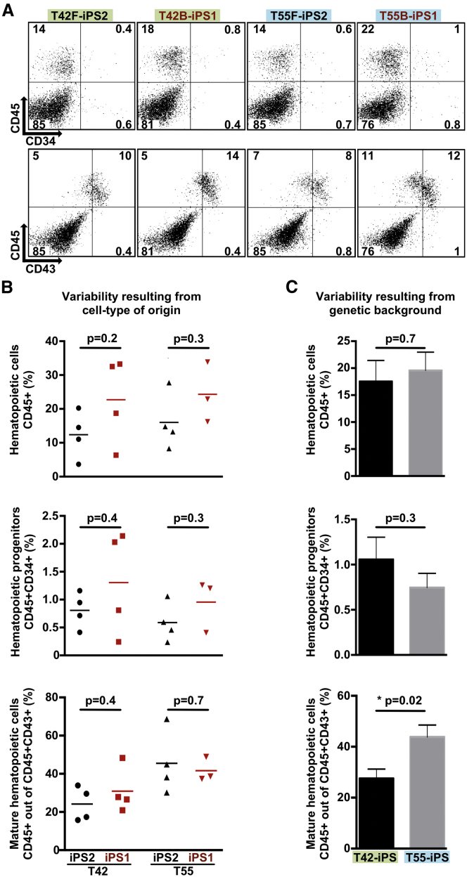 Figure 4